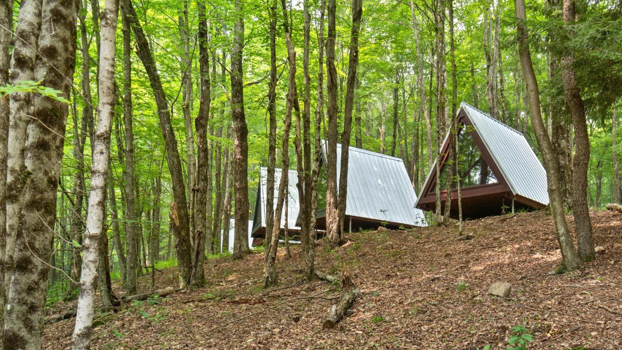 Callicoon Hills Callicoon Center Luaran gambar